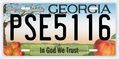 GA license plate PSE5116