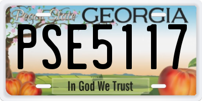 GA license plate PSE5117