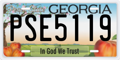 GA license plate PSE5119