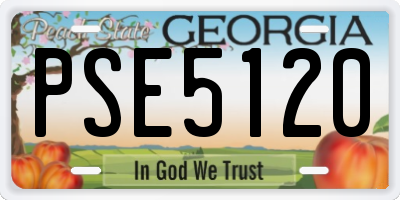 GA license plate PSE5120