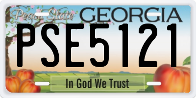 GA license plate PSE5121