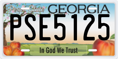 GA license plate PSE5125