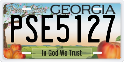 GA license plate PSE5127