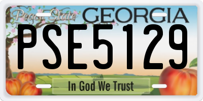 GA license plate PSE5129