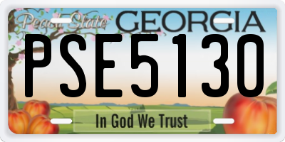 GA license plate PSE5130