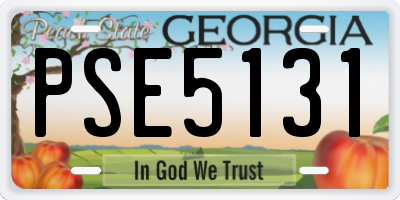 GA license plate PSE5131