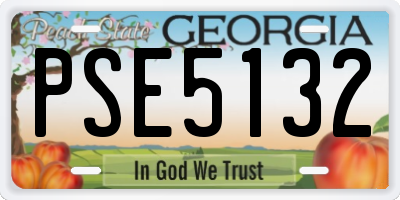 GA license plate PSE5132