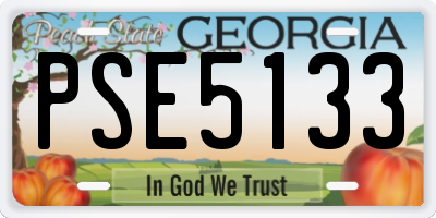 GA license plate PSE5133