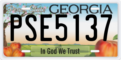 GA license plate PSE5137