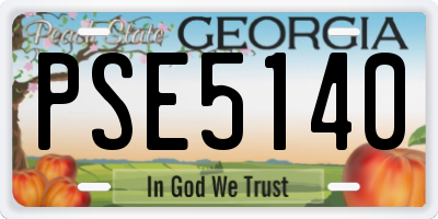 GA license plate PSE5140