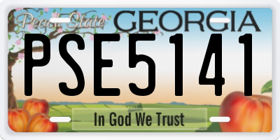 GA license plate PSE5141
