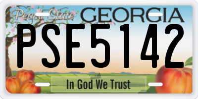 GA license plate PSE5142