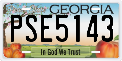 GA license plate PSE5143