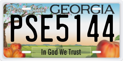 GA license plate PSE5144