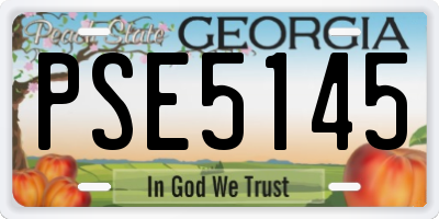 GA license plate PSE5145
