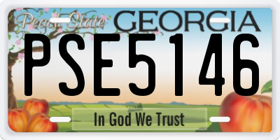 GA license plate PSE5146
