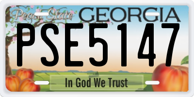 GA license plate PSE5147