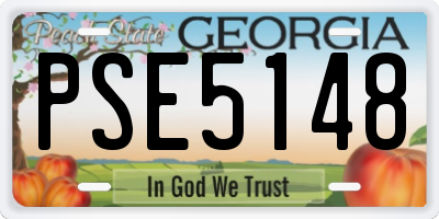 GA license plate PSE5148