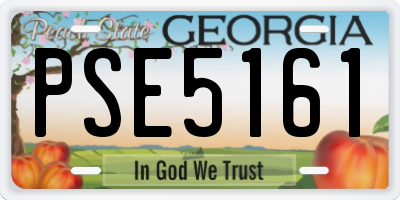 GA license plate PSE5161