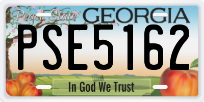 GA license plate PSE5162