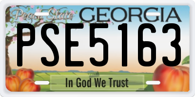 GA license plate PSE5163