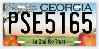 GA license plate PSE5165