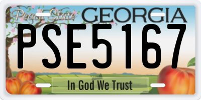 GA license plate PSE5167