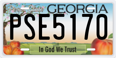 GA license plate PSE5170