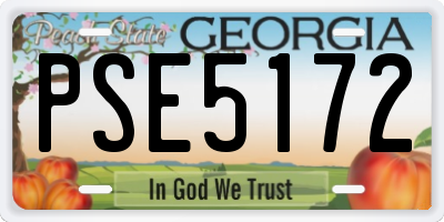 GA license plate PSE5172