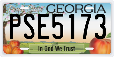 GA license plate PSE5173