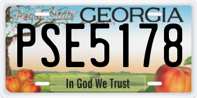 GA license plate PSE5178