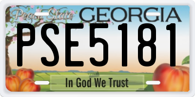 GA license plate PSE5181