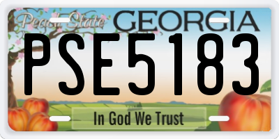 GA license plate PSE5183
