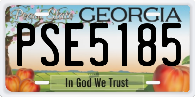 GA license plate PSE5185