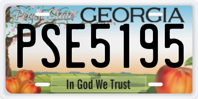 GA license plate PSE5195