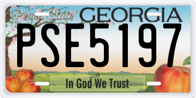 GA license plate PSE5197