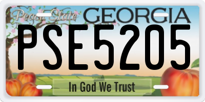 GA license plate PSE5205