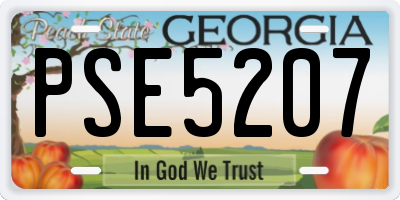 GA license plate PSE5207