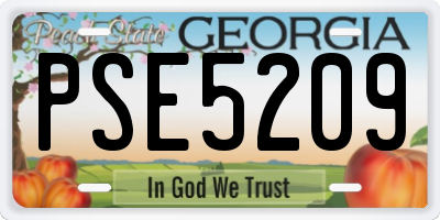 GA license plate PSE5209
