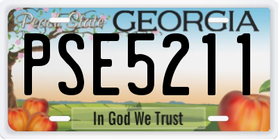 GA license plate PSE5211