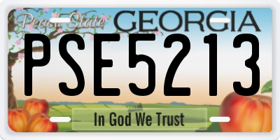 GA license plate PSE5213