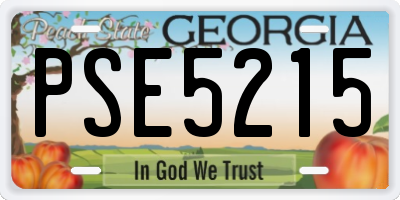 GA license plate PSE5215
