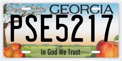 GA license plate PSE5217