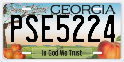GA license plate PSE5224