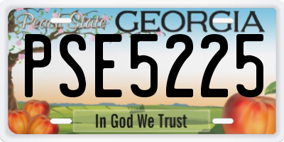 GA license plate PSE5225