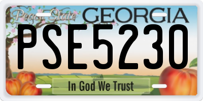 GA license plate PSE5230
