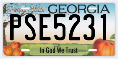 GA license plate PSE5231
