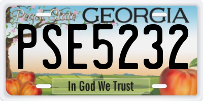 GA license plate PSE5232