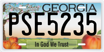 GA license plate PSE5235