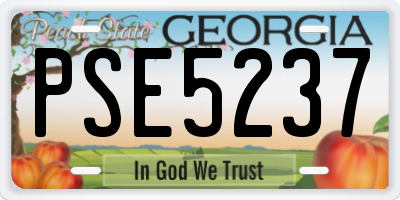 GA license plate PSE5237